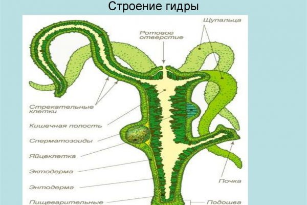 Почему не заходит на кракен